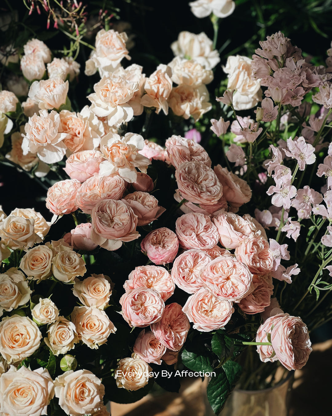 garden roses