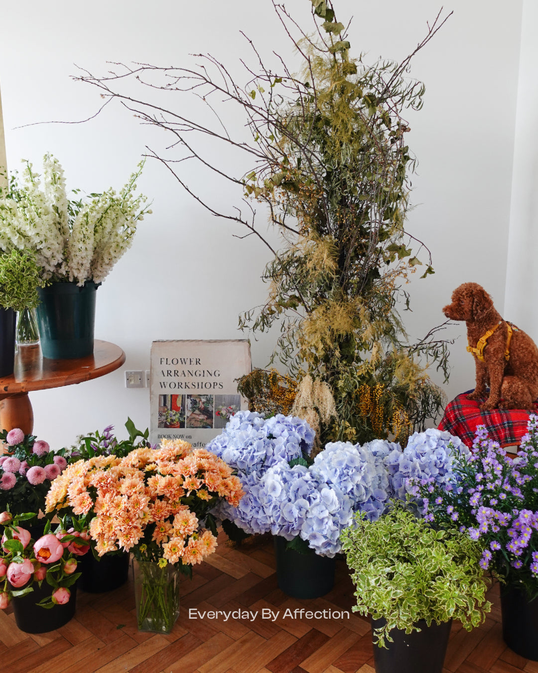 flowers and a dog